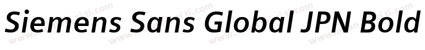 Siemens Sans Global JPN Bold Italic字体转换